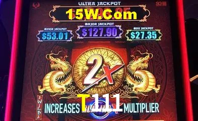 Sistemas de Segurança T111