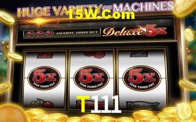 Ofertas Exclusivas T111