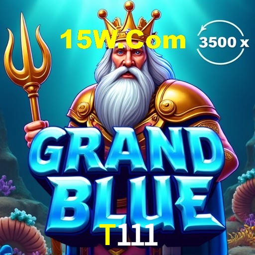 Casino VIP T111